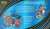 pokemon-tcg-charizard-x-ex-ultra-premium-collection (5).jpg