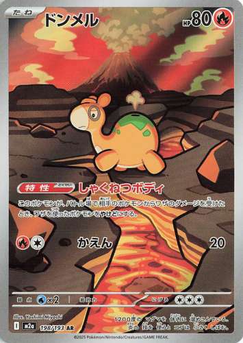 198-Numel.jpg